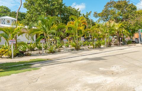 The open parking area beside the hotel, lined with young palms