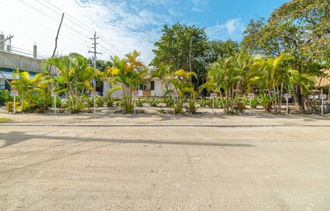 The parking area and the sand street that runs past the hotel